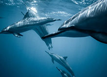 开云体育入口-长春女足俩球员入选国家女足集训队