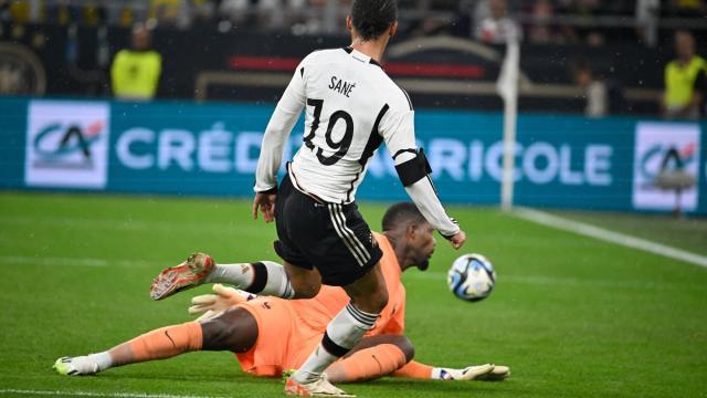 1694598767352075348.jpeg 1694598767352075348.jpeg